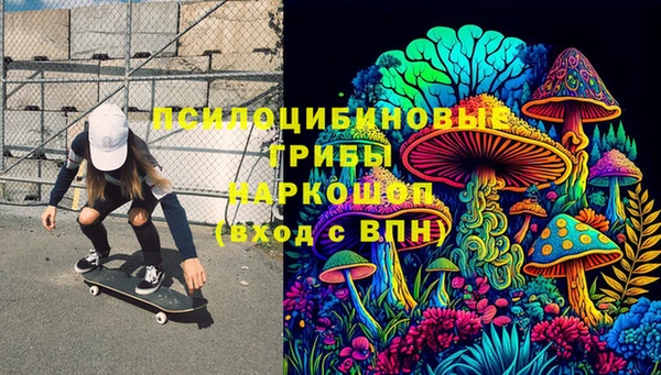 ешки Медвежьегорск