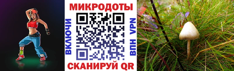 гидра ссылка Кубинка Галлюциногенные грибы Magic Shrooms