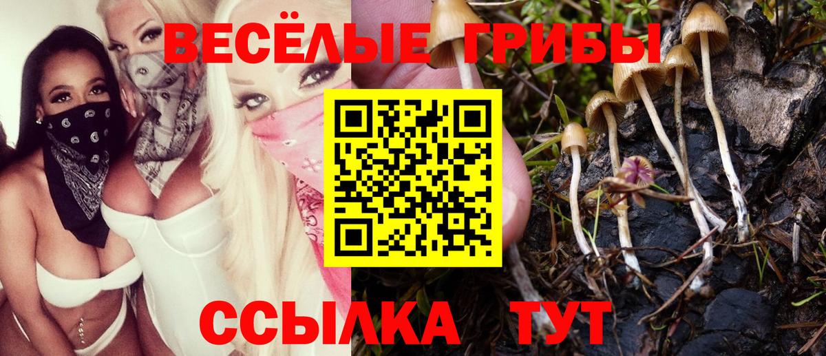 купить  сайты  Псилоцибиновые грибы ЛСД  Вход с VPN  Кубинка 